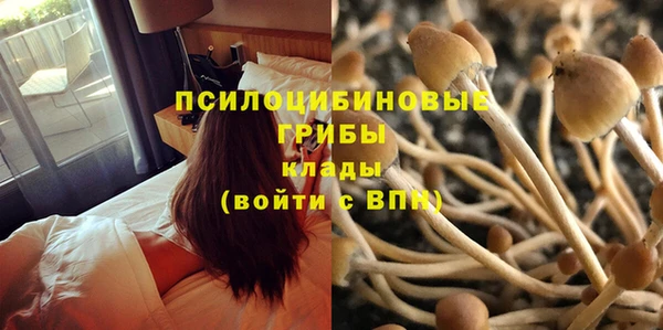 марки lsd Нея