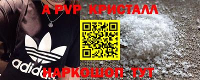 молекула духа Донской