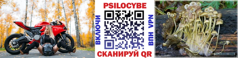 Псилоцибиновые грибы MAGIC MUSHROOMS наркошоп Майский