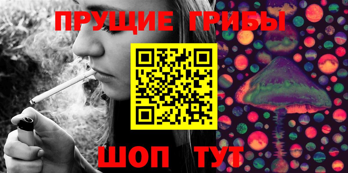 Галлюциногенные грибы Psilocybine cubensis  Майский 